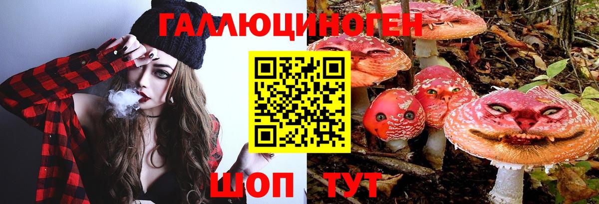 Галлюциногенные грибы MAGIC MUSHROOMS Вязники