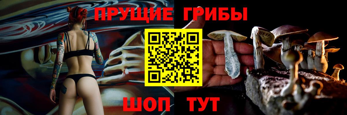 Псилоцибиновые грибы прущие грибы  Вход с VPN  купить закладку  Вязники 